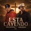 Esta Cayendo