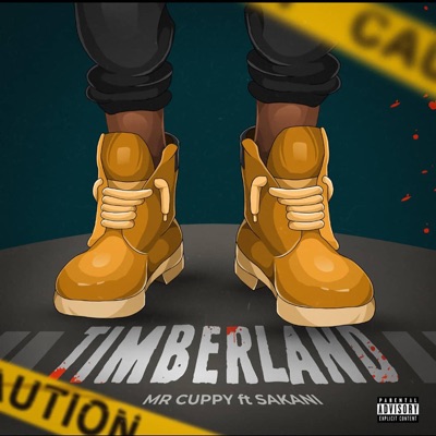 Timberland (feat. Sakani) - Single