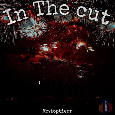 In The Cut - Single