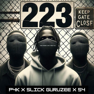 223 (feat. P4K & Maurre54) - Single