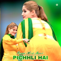Lewe Hai Meri Pichhli Hai - Single - Wasim Akram Alwar & Javed Akhtar Alwar