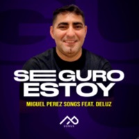 Seguro Estoy (feat. DeLuz) - Single - Miguel Songs