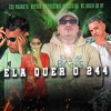 Ela Quer o 244 - Single