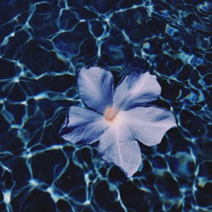 Blue Jasmine - EP