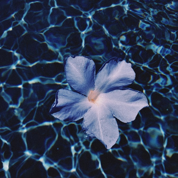 Blue Jasmine - EP