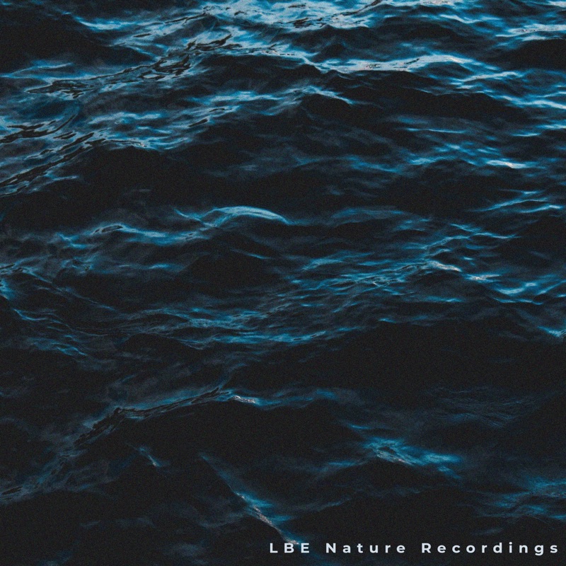 Ocean Sounds Vol. 4 - EP