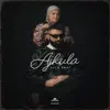 Ajkula