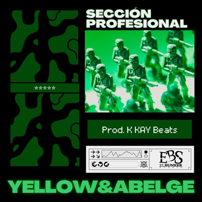 Sección Profesional - Single