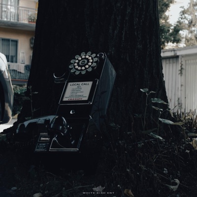 Goodbye (feat. Təo) - Single