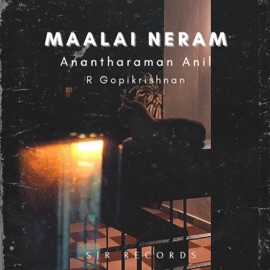 Maalai Neram (feat. R Gopikrishnan) Anantharaman Anil