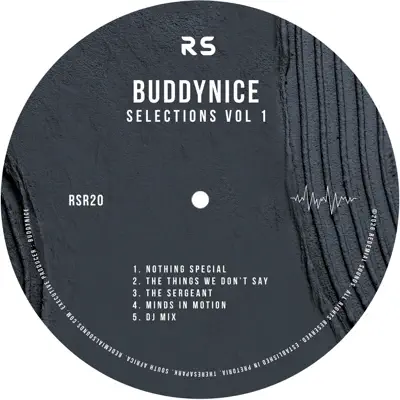 Listen to Selections Vol 1 by Buddynice