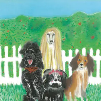 Working In The Garden album cover