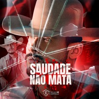 Saudade Não Mata - Single - Thiago Castelli