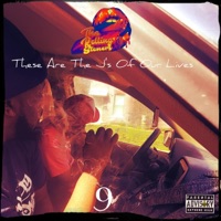These Are the J's of Our Lives, Vol. 9 - The Rolling Stoners