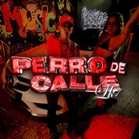 Perro De Calle - Single - Lk7