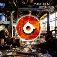 Destruction - Single - Marc Denuit