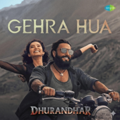 Gehra hua latest viral song