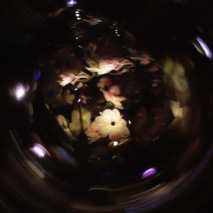 Beauty Descent (feat. Juman) - Single