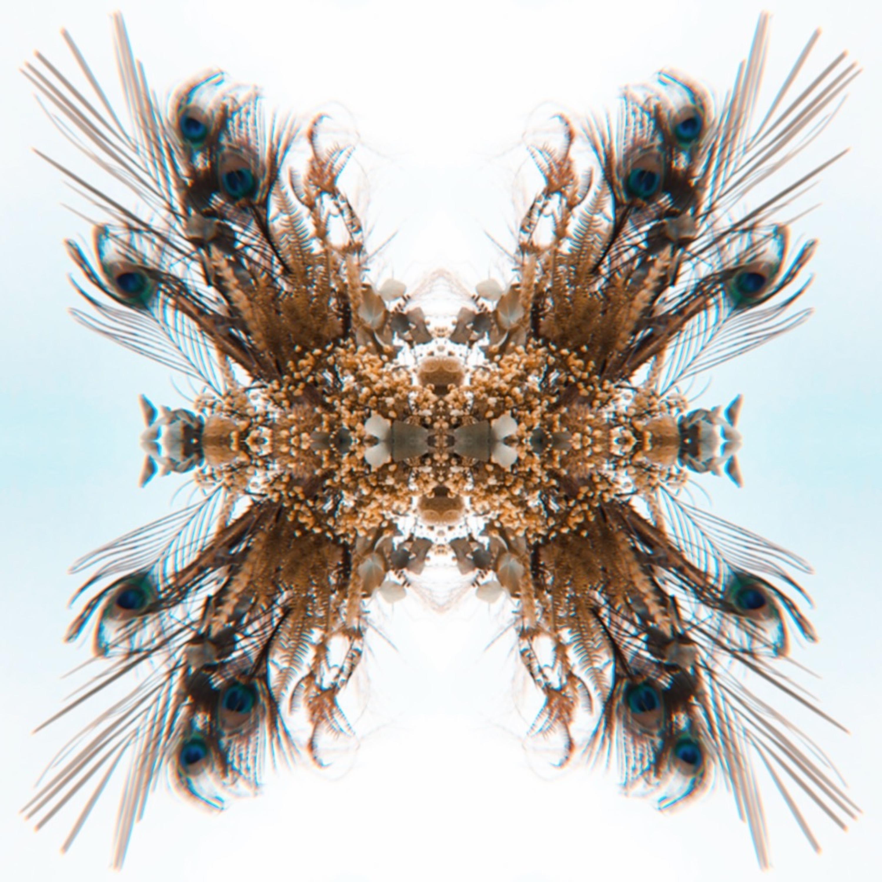 I'm a Fighter (The Tap Tap Song) - Single