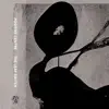 Glass Envelopes
