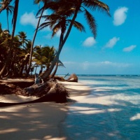 Another Day In Paradise - Single - Kivanc Onder