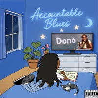 Accountable Blues - Dono