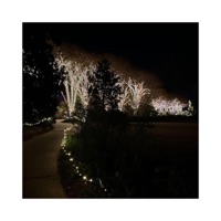 lastnite (feat. B baby) - Single - 5rackkz