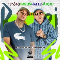 Tu Só Foi Mais uma Que Eu Já Botei (feat. MC Arraia) - Single - Mc Vidal
