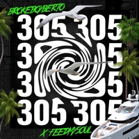 305 (feat. FeedMySoul) - Single - BrokeBoyBerto