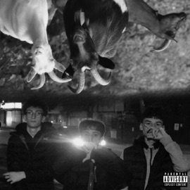 goin back (feat. Trap House Moldova) censu