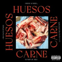 Huesos y Carne - Single - Boarfa Suarez