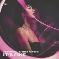 It's Fine - Single - Soundsinsane & Diego Antoine