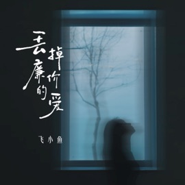 丢掉廉价的爱 (Dj青村秀和版) 飞小鱼