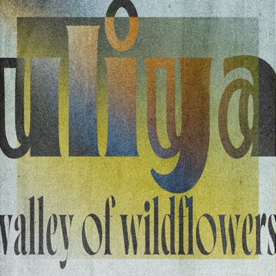 valley of wildflowers - Single
