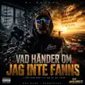 VAD HÄNDER OM JAG INTE FANNS
