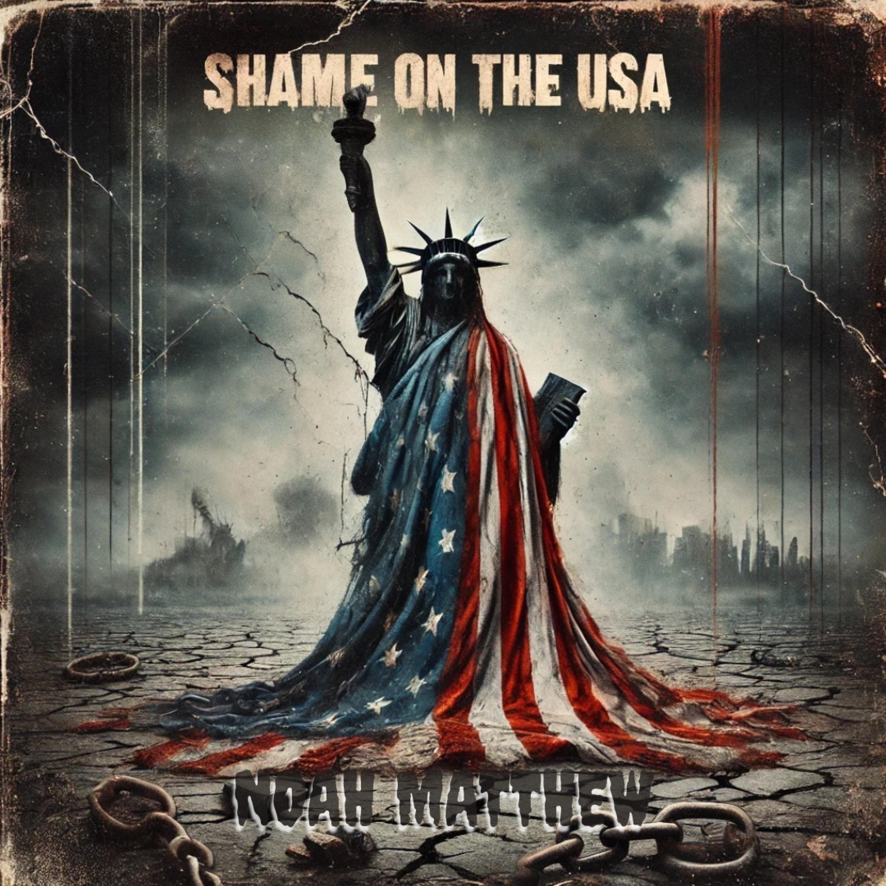 Shame on the USA - Single