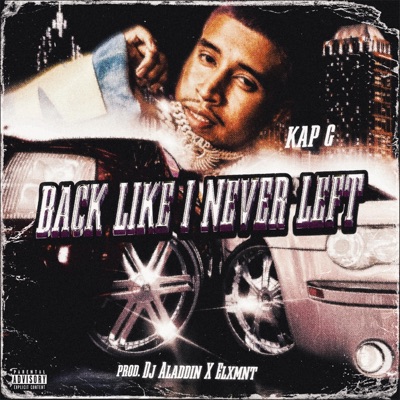 Back Like I Never Left - Single
