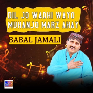 Dil Jo Wadhi Wayo Muhanjo Marz Ahay