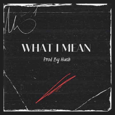 What I Mean - Single