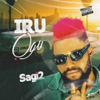 Iru ogu