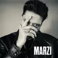 MARZI