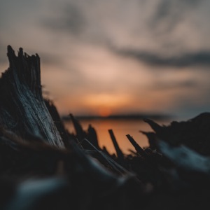 Sleep Cycle - EP