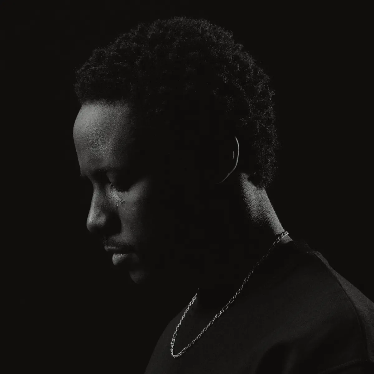 tendai - The Rain (2024) [iTunes Plus AAC M4A]-新房子