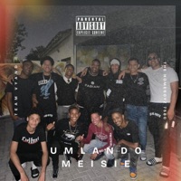 Umlando Meisie (feat. Team Vyand & The Homeboyz 7580) - Single - Mr TapOut