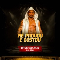 Me Provou e Gostou - Single - DJ Gao & David Bolado