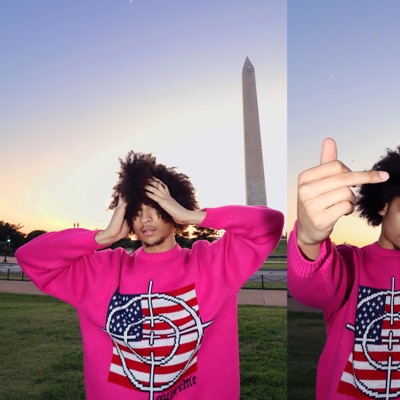 FUCK THE FLAG - Single