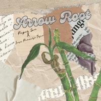 Arrow Root - Single - Paper Son & Jose Pineiro Trio