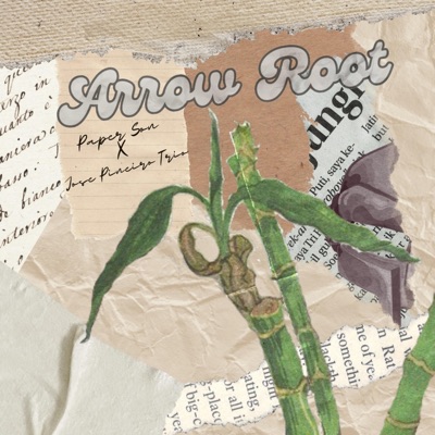Arrow Root - Single