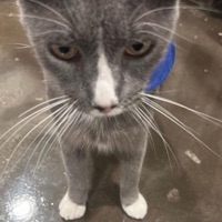 >( - Single - 6thSanity