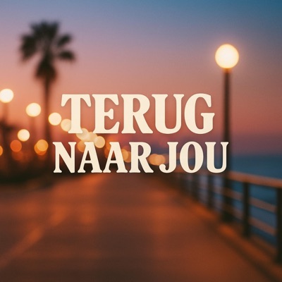 Terug Naar Jou - Single